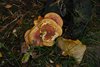 Bornholm_0125