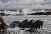 Bornholm_0067