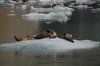 Canada_0801
