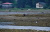 Canada_0603