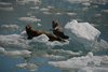 Canada_0790