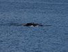 Canada_0345