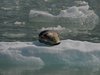 Canada_0792