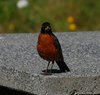 Canada_0279