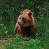 Canada_1233ab