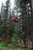 Canada_1587