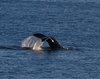 Canada_1047a