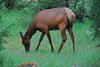 Canada_1187