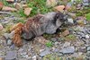 Canada_1295