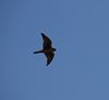 Canada_1499