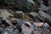 Canada_1764