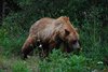 Canada_1232