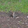 Canada_1636