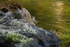 Canada_0302