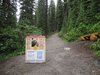 Canada_1785