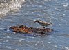 Canada_0320
