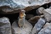 Canada_1705
