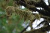 Canada_0262
