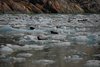 Canada_0782
