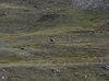 Canada_1491a