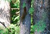 Canada_0295
