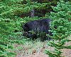 Canada_1625
