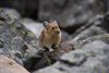 Canada_1744