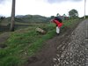 Ecuador_0840