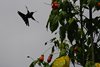 Ecuador_1238