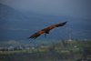 Ecuador_1002