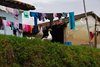 Ecuador_1197