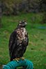 Ecuador_1053