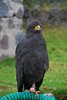 Ecuador_1051