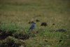 Ecuador_0690