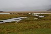 Ecuador_0549