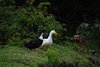 Ecuador_0830