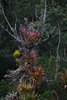 Ecuador_1176