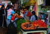 Ecuador_0861