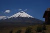 Ecuador_0401