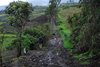 Ecuador_1190