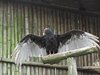 Ecuador_0888
