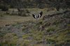 Ecuador_0623