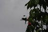 Ecuador_1236