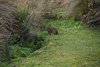 Ecuador_0540