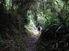 Ecuador_1083