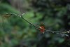 Ecuador_1080