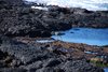 Galapagos_1323