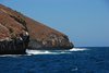 Galapagos_1874