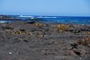 Galapagos_1508