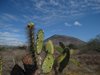 Galapagos_1212